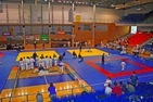 Brno cup