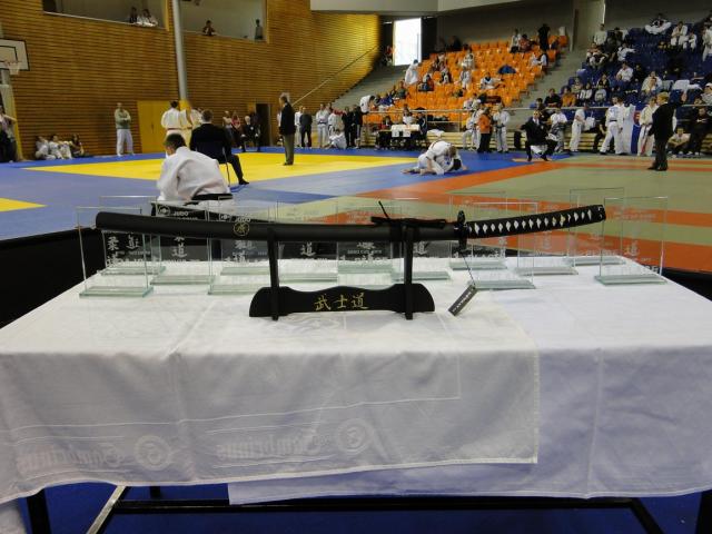 Brno Cup 2010