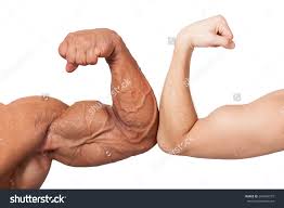 biceps.jpg